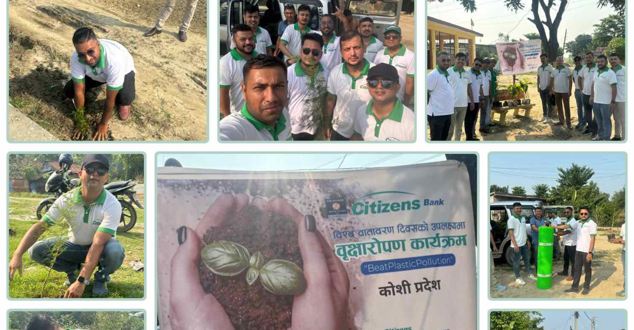 सिटिजन्स बैंकले गर्‍याे विराटनगरमा वृक्षरोपण