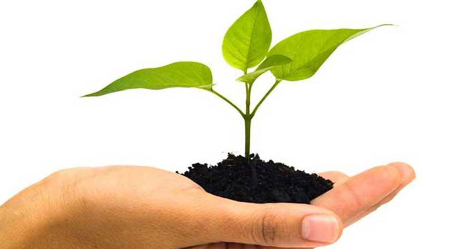 चुरे क्षेत्रको विनाश रोक्‍न मधेसमा ८६ लाख वृक्षरोपण गरिने