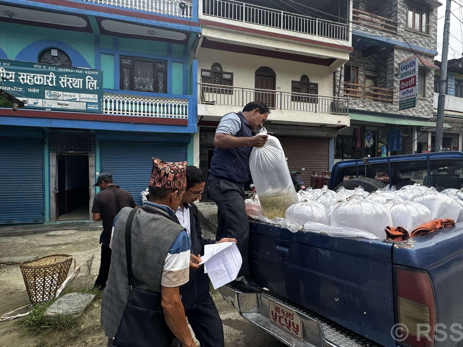 पर्वतका कृषकलाई दुई लाख माछाका भुरा वितरण