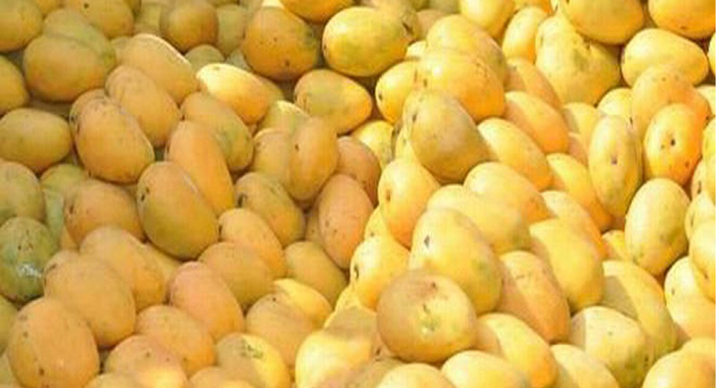 सिरहामा आँप उत्पादन घट्यो