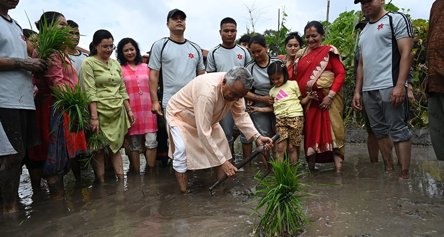 राष्ट्रपतिले राेपे धान (फोटो फिचर)