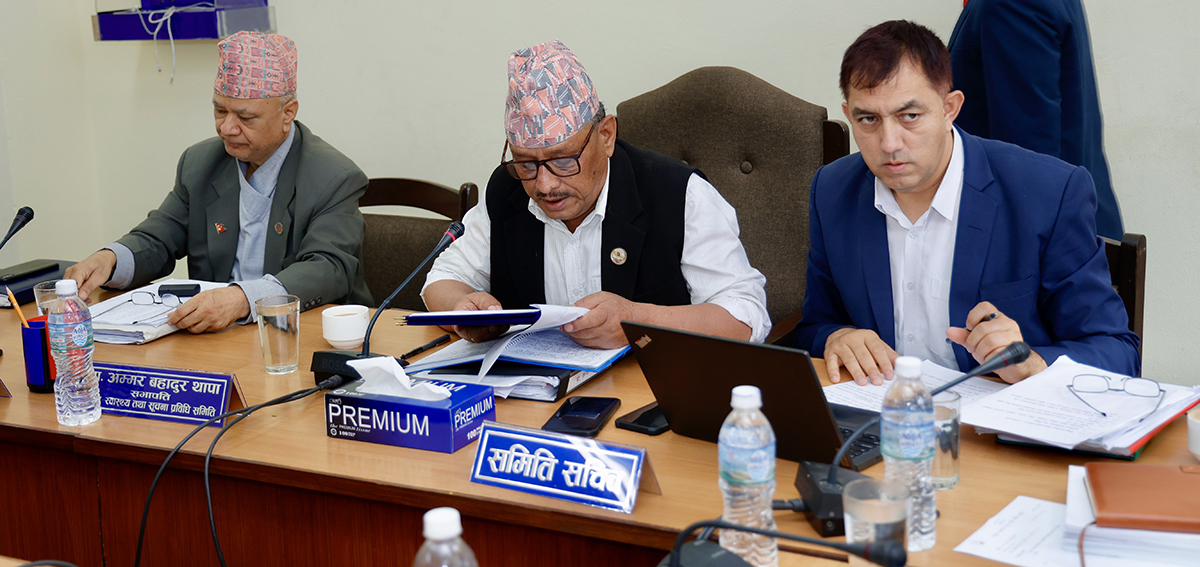 निजी विद्यालय सञ्चालन र ईसीडीसम्बन्धी व्यवस्था शिक्षा समितिबाट पारित