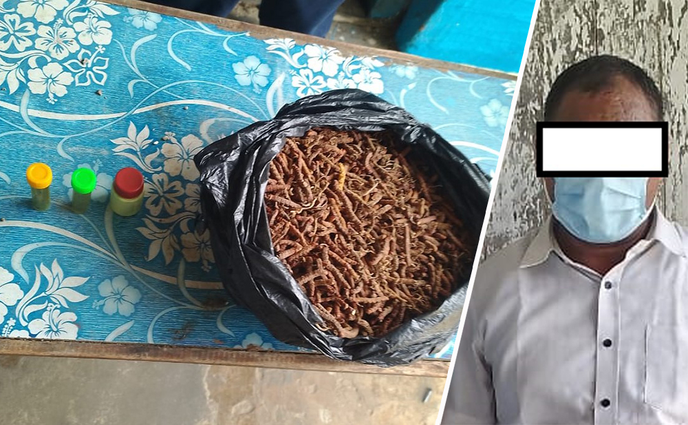 वन पैदावार बोकेको मोटरसाइकलले पैदलयात्रीलाई ठक्कर दिएपछि…