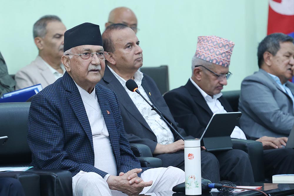 केपी ओलीले विद्या भण्डारीसँगको भेटबारे केन्द्रीय कमिटी बैठकमा के ब्रिफिङ गरे ?