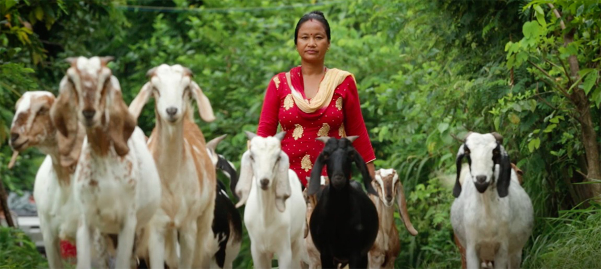 अध्ययनको निष्कर्ष– ग्रामीण कृषिमा बढ्दो आकर्षणले उकासिँदै छ क्षेत्रीय अर्थतन्त्र