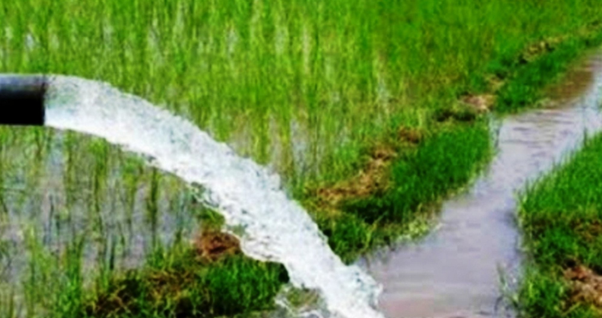 पर्सामा डिपबोरिङ खन्दा विपद् व्यवस्थापन समितिसँग अनुमति लिनुपर्ने (कारणसहित)