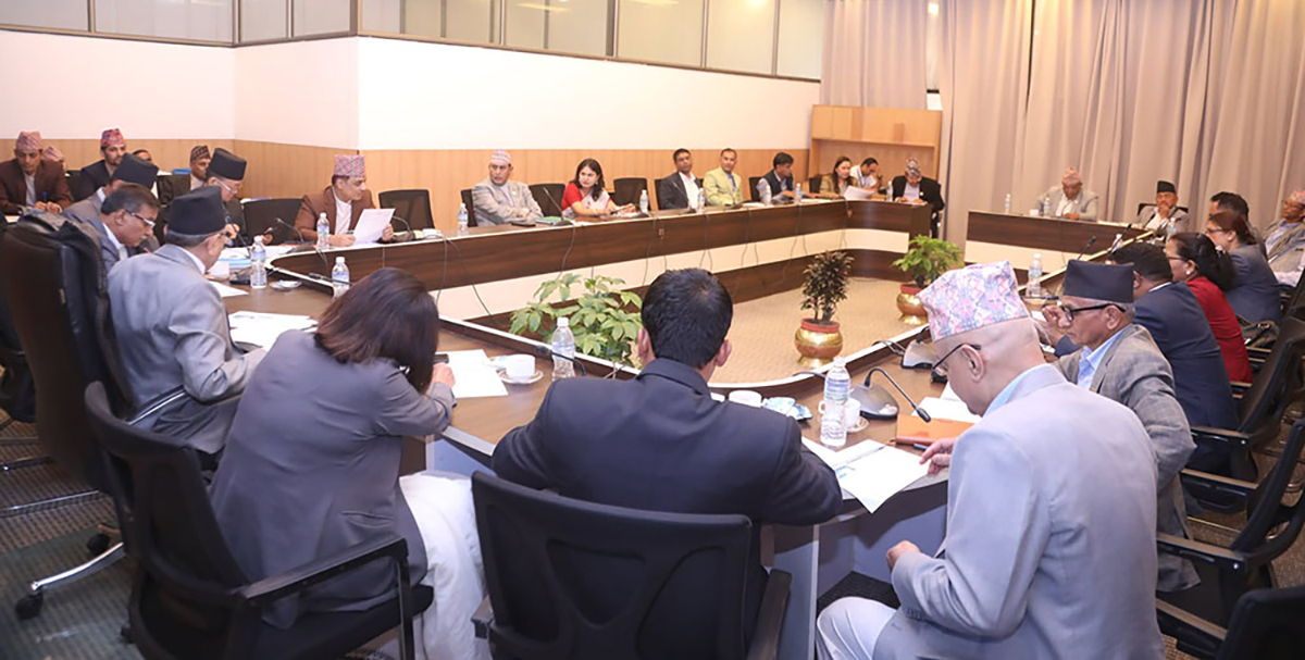 ‘कुलिङ पिरियड’ हेरफेरबारे छानबिन गर्ने विशेष समितिमा कुन दलबाट को–को छन् सदस्य ?