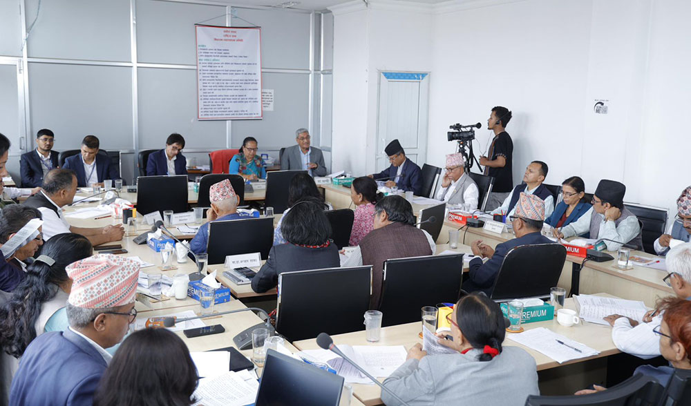 नागरिकता विधेयकमा २५ सांसदको संशोधन प्रस्ताव