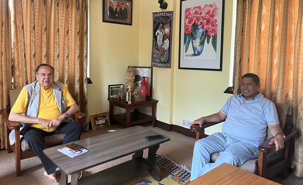 झलनाथ र नारायणकाजीबीच भेटवार्ता