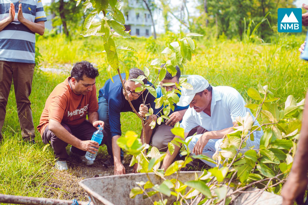 नएमबि बैंकद्वारा तिलोत्तमा पार्कमा वृक्षारोपण, जलवायु परिवर्तनको असर कम गर्ने उद्देश्य