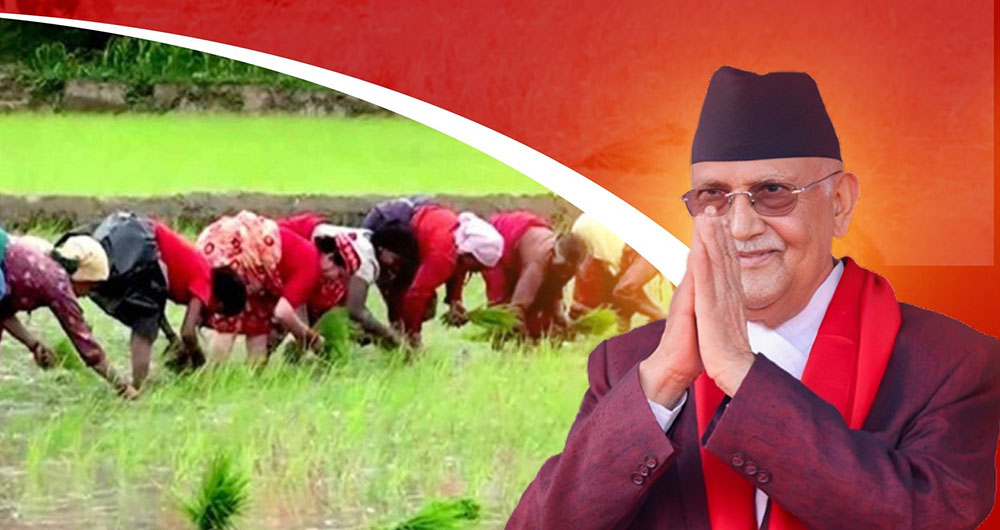 आगामी वर्षदेखि तराईमा सिँचाइको स्थायी समाधान ल्याउने सरकारको संकल्प :प्रधानमन्त्री ओली