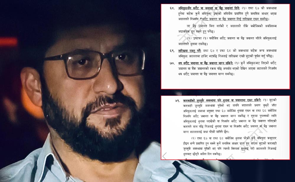 रवि लामिछानेले के आधारमा दिए अदालतमा निवेदन?