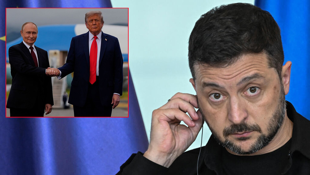 ट्रम्प र पुटिन भेट: वास्तविक शान्ति स्थापना गर्न चाहन्छौ- जेलेन्स्की