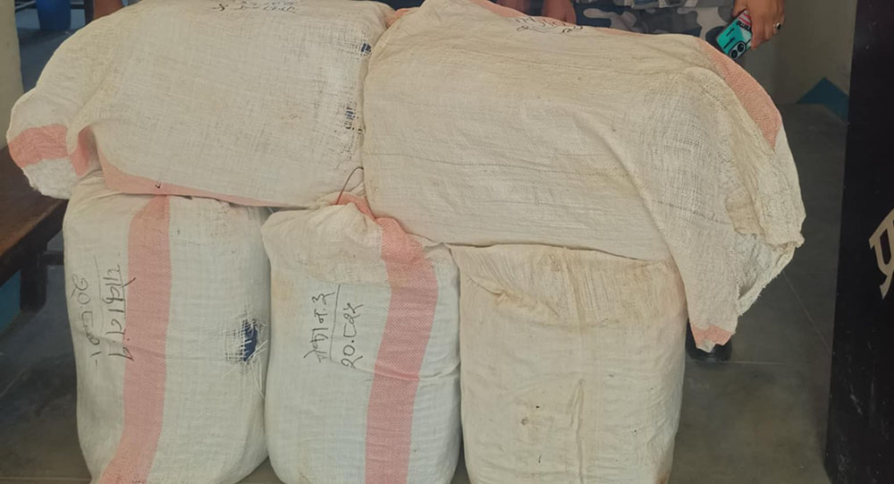 सप्तरीको सुरुङ्गाबाट ९८ केजी गाँजा बरामद