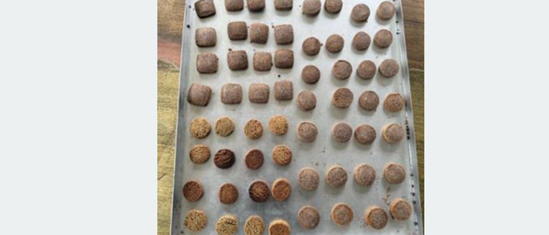 कोदोको बिष्कुट उत्पादन गर्न उद्योग स्थापना, फापर, जौ र उवा पनि थपिने 