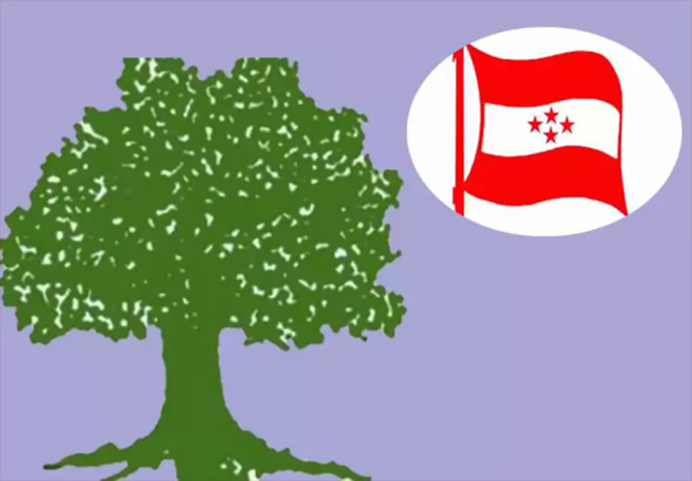 दलहरुप्रति प्रतिशोधपूर्ण राजनीति नगर्न अन्तरिम सरकारलाई कांग्रेसको चेतावनी