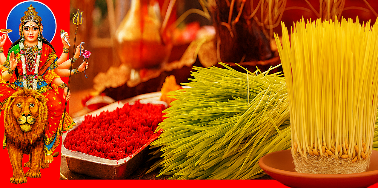 आज एकादशीको दिन पनि दशैंको टीका लगाइँदै