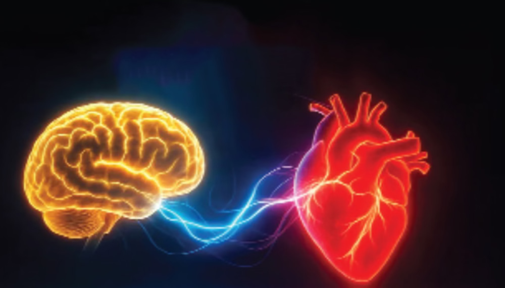 एउटै समयमा सुत्ने र उठ्ने गर्नु मस्तिष्क र मुटुका लागि स्वस्थकरः अध्ययन