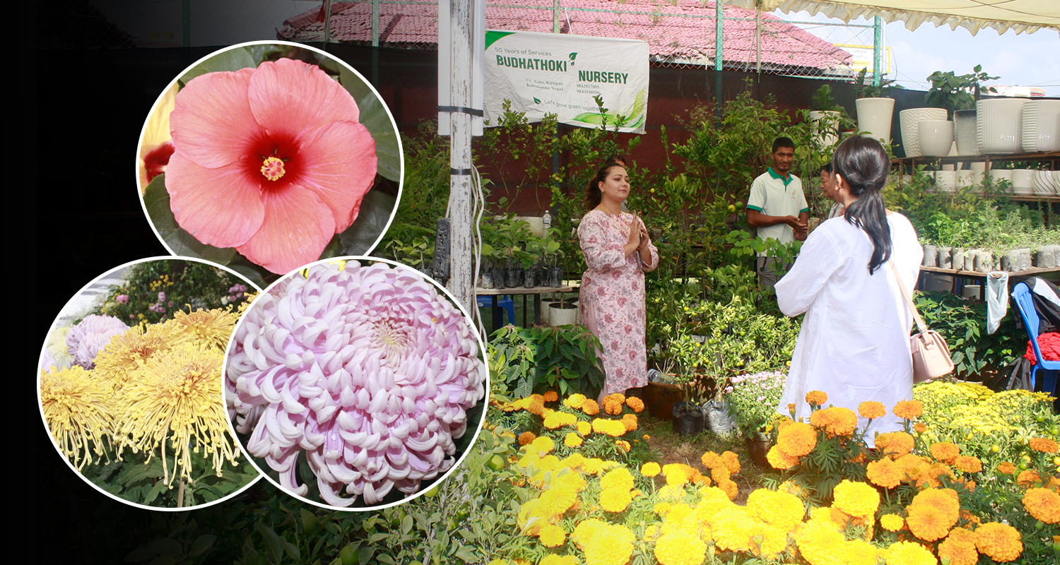 फूल व्यापारको उत्कृष्ट सङ्गम ‘गोदावरी पुष्प प्रर्दशनी’