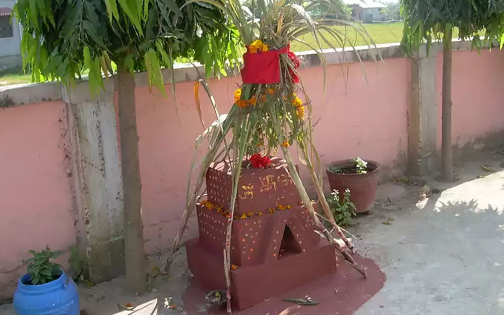 आज हरिबोधिनी एकादशी, तुलसीको विवाह गरी मनाइदै