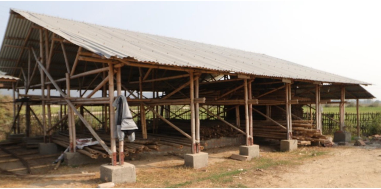 बाँसलाई संरचना निर्माणमा प्रयोग गर्न डिजाइन मार्गदर्शन स्वीकृत