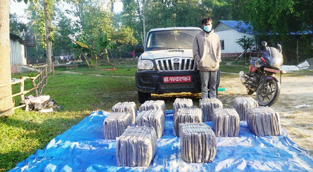 ईनरुवाबाट १५३ केजी गाँजासहित नियन्त्रणमा