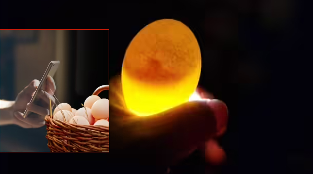 स्मार्ट फोनबाट सडेको अण्डा कसरी पत्ता लगाउने ?