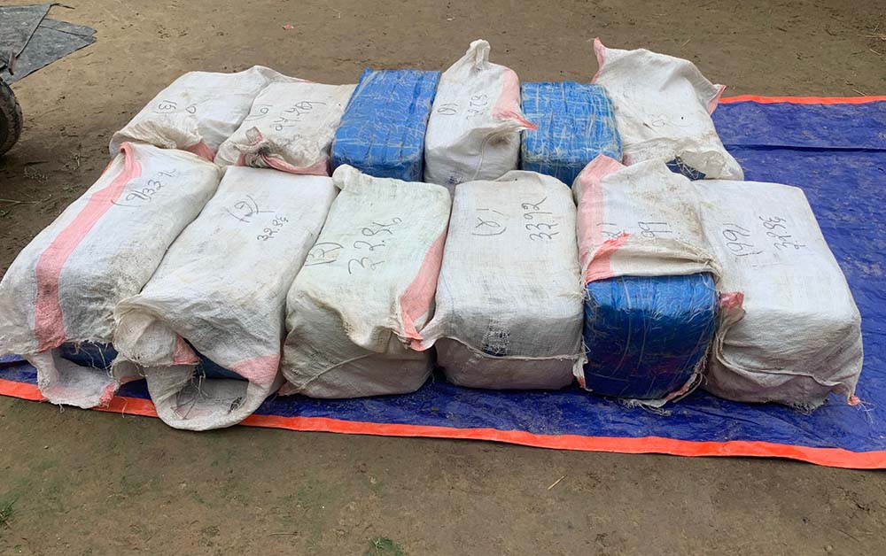 करिब १०४ किलो गाँजासहित दुई जना पक्राउ