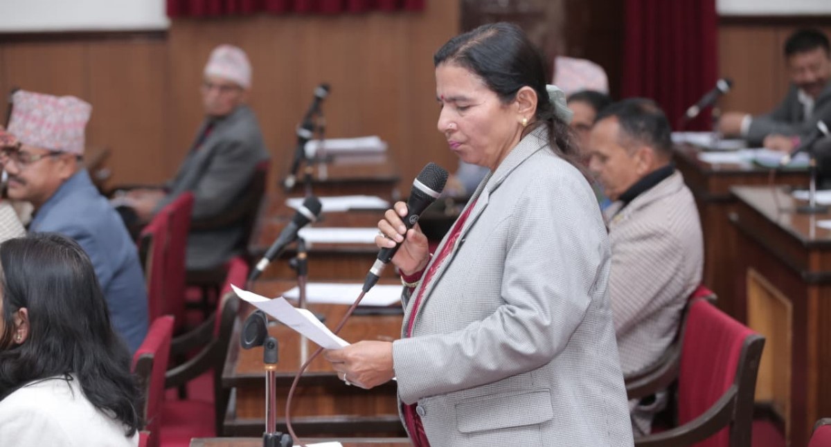 राष्ट्रिय झन्डाको दुरुपयोगबारे राष्ट्रिय सभामा बहस : कारबाही गर्न माग