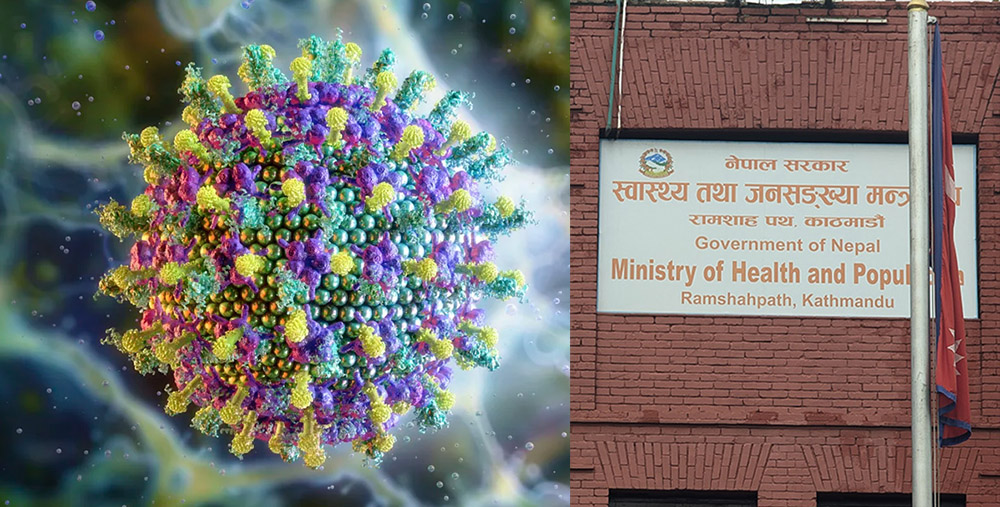 निपाह भाइरसः यस्तो भन्छ स्वास्थ्य मन्त्रालय