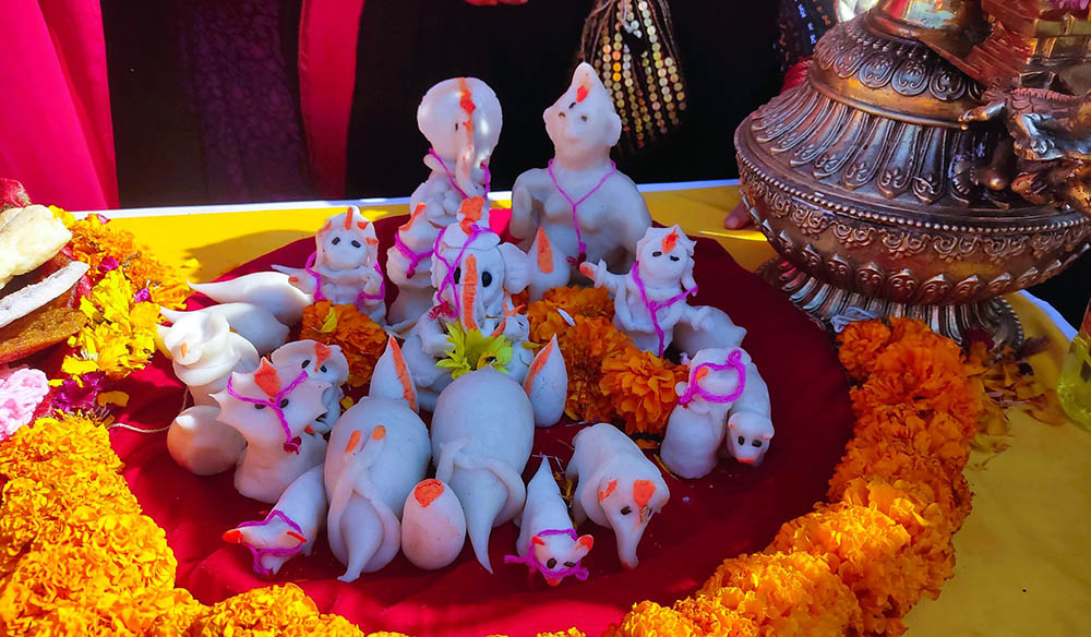 यमरीलाई युनेस्कोको अभौतिक सांस्कृतिक सम्पदामा सूचीकृत गरिने