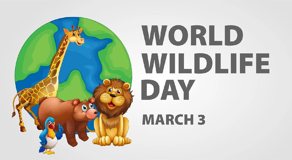 आज विश्व वन्यजन्तु दिवस मनाइँदै