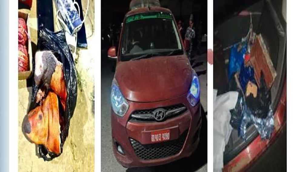 नेकपाका उम्मेदवार ‘ होक्सी बम’ सहित पक्राउ