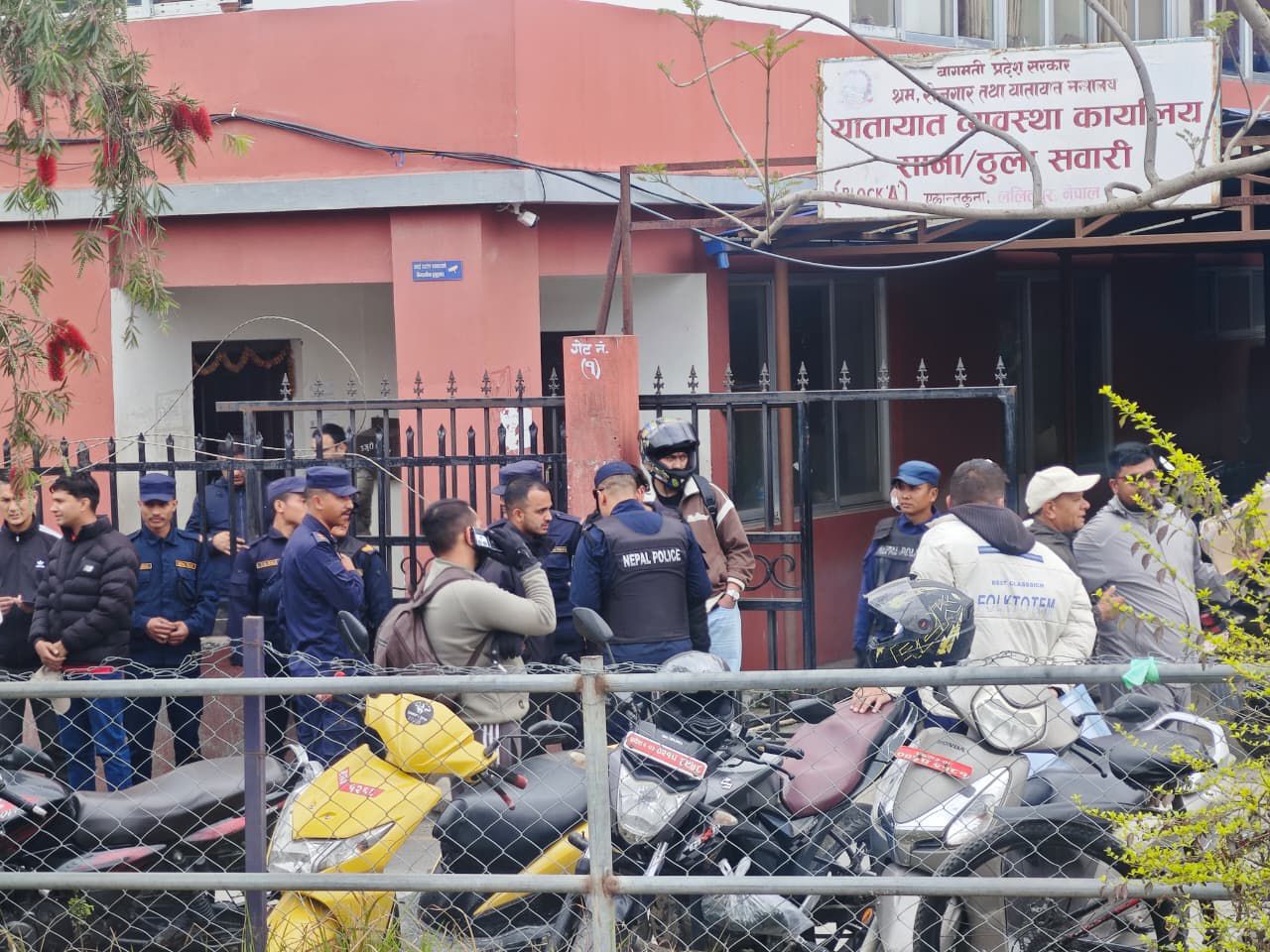 यातायात कार्यालयमा विचौलिया बनेर दुःख दिने १५ जना पक्राउ