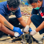 सुकुम्बासी बस्तीका घरपालुवा जनावरको रेखदेख कसरी गरिँदैछ ? एघार तस्बिरमा हेर्नुहोस्