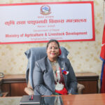 मन्त्री चौधरीको पहलमा गहुँ र चैते धानको मूल्य निर्धारण