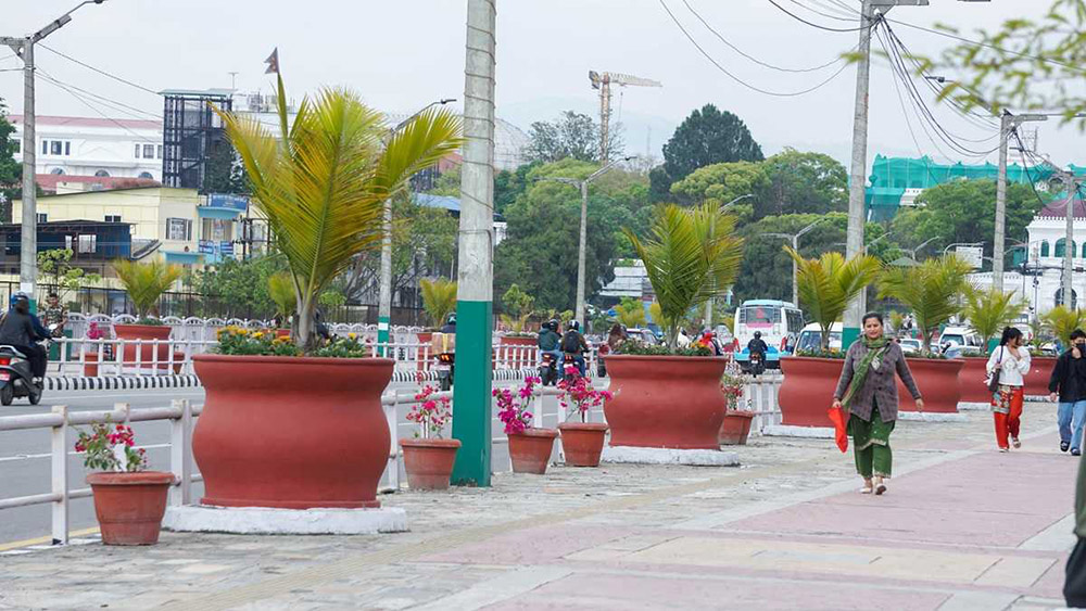 सडक किनारामा गमलामा फूल रोप्दै काठमाडौं महानगर