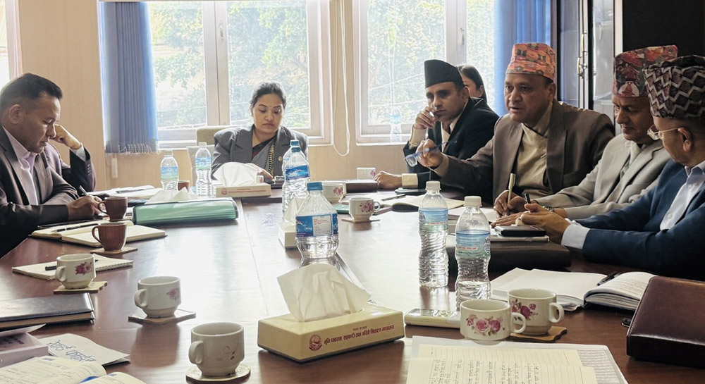 मन्त्री रावलको महान्यायाधिवक्ता र सीआईबी प्रमुखसँग छलफल