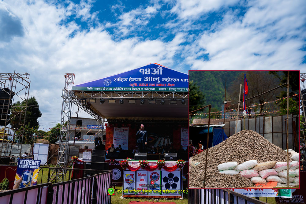 राष्ट्रिय हेमजा आलु महोत्सव जारी