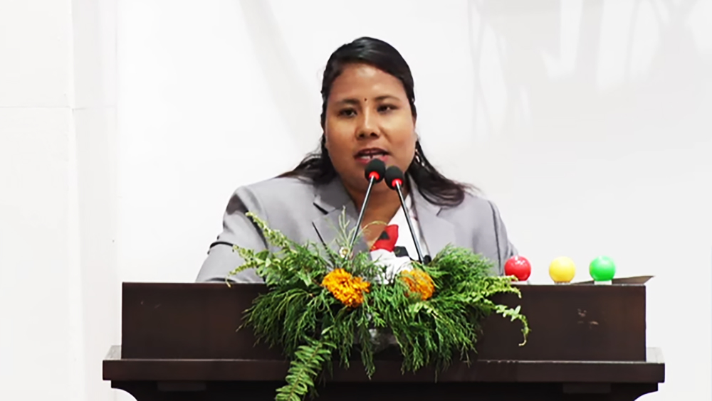 देशमा एक लाख ४० हजार ५८५ मेट्रिक टन रासायनिक मल मौज्दात छ: मन्त्री चौधरी