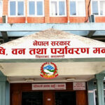 सुदूपश्चिम प्रदेशका २६ पालिकाले उठाएनन् रासायनिक मल
