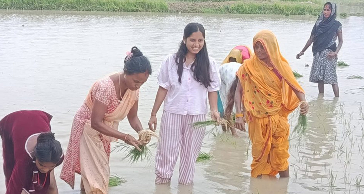 धान दिवस : उपसभामुख ठाकुरले जनकपुर पुगेर आफ्नै खेतमा रोपिन् धान