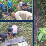 पर्वतमा ट्याक्टर दुर्घटना, दुई जनाको मृत्यु
