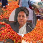 टमाटर किसानसँग मन्त्री गिता चौधरीको छलफल, के आयो निचोड ?