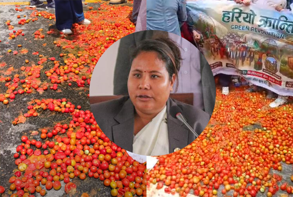 टमाटर किसानसँग मन्त्री गिता चौधरीको छलफल, के आयो निचोड ?