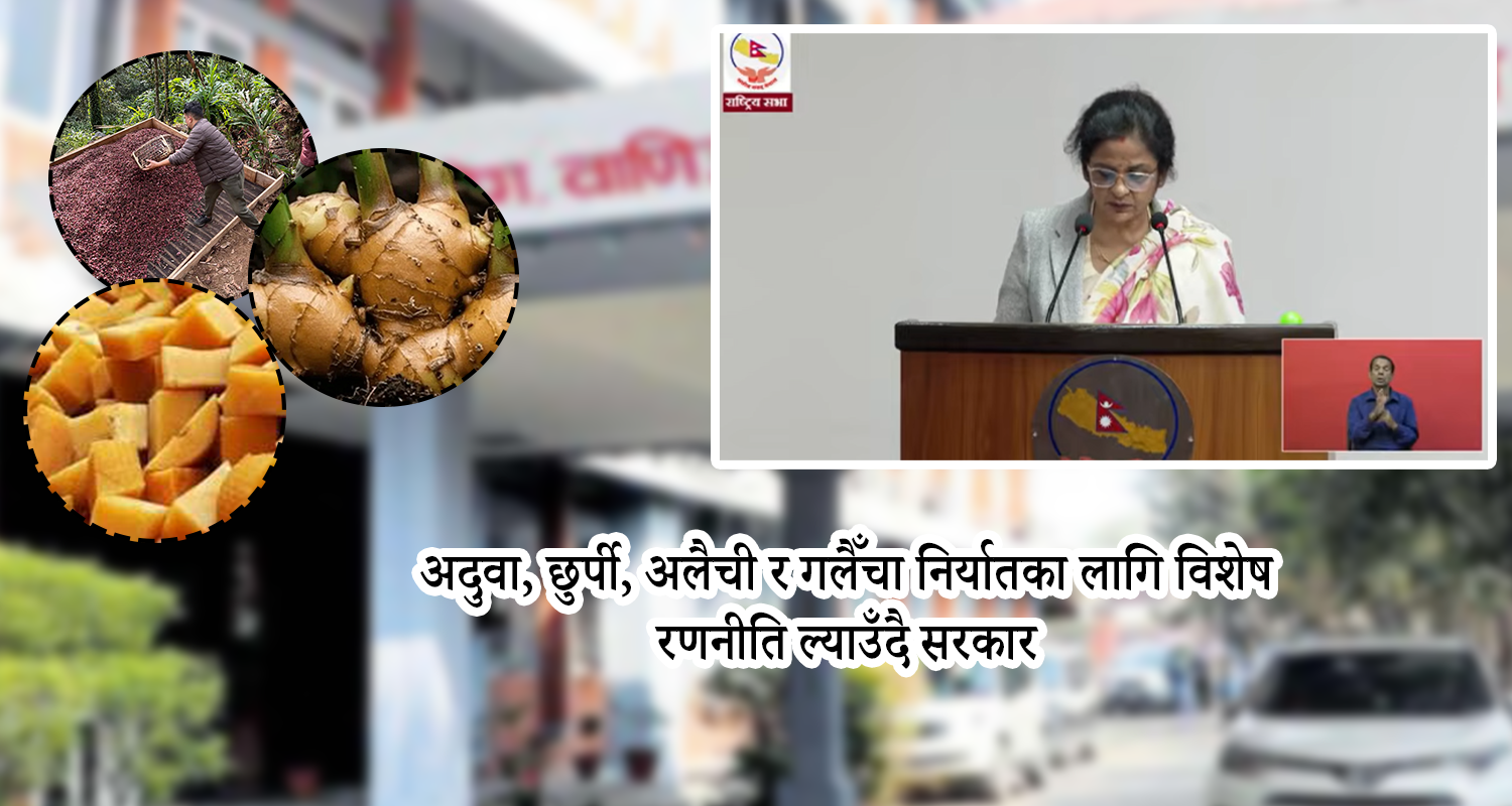 अदुवा, छुर्पी, अलैची र गलैँचा निर्यातका लागि विशेष रणनीति ल्याउँदै सरकार