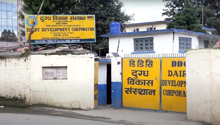 साउनभित्र उपत्यकामा डिडिसीका ३० ‘आउटलेट’ सञ्चालमा आउँदै