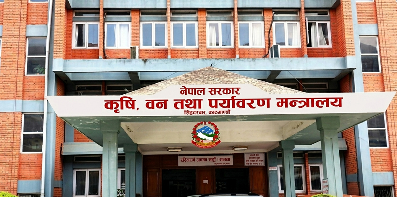 बेपत्ता कर्मचारीमाथि कारबाही एक्सन सुरू, नार्कबाट सुरुवात