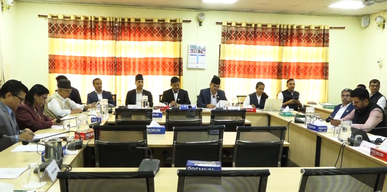 प्रमुख निर्वाचन आयुक्त र आयुक्तहरूको संसदीय सुनुवाई प्रक्रिया सुरू