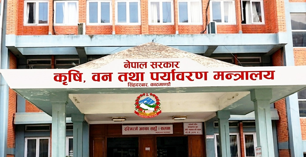 चिया तथा कफी क्षेत्रको सुधारका लागि कार्यदल गठन